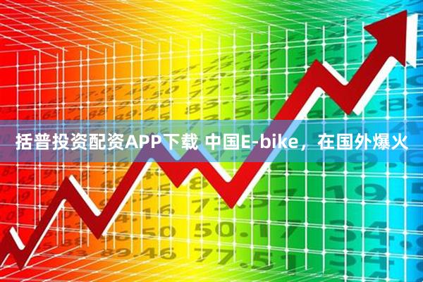 括普投资配资APP下载 中国E-bike，在国外爆火