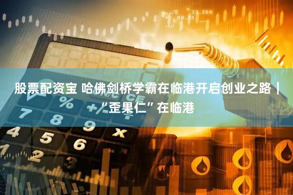 股票配资宝 哈佛剑桥学霸在临港开启创业之路｜“歪果仁”在临港